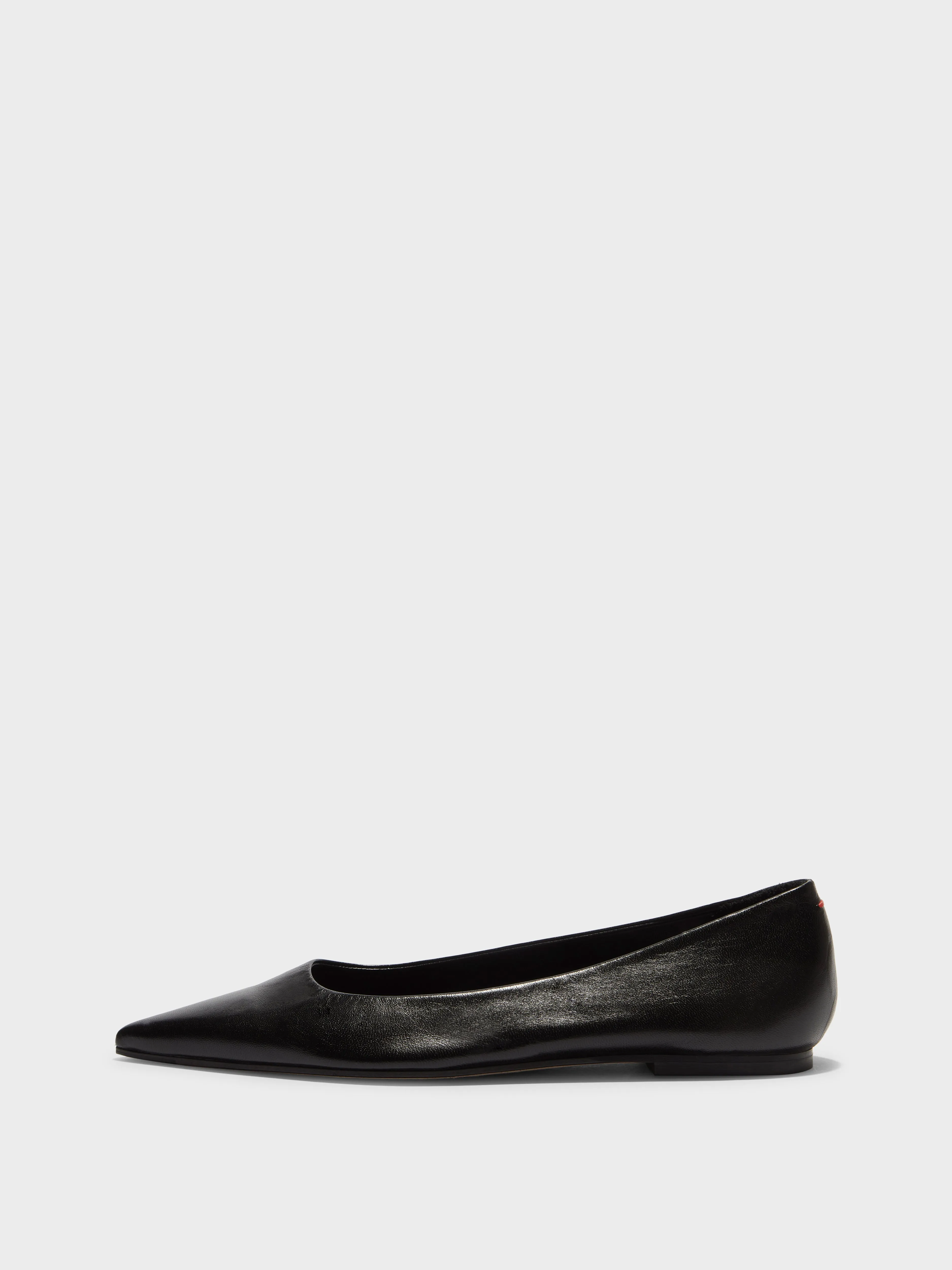 Cassy Leather Ballet Flats