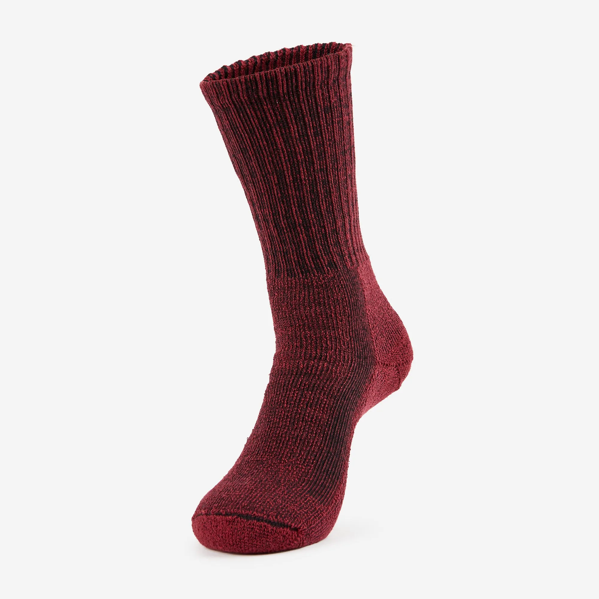 Women's Moderate Cushion Crew Hiking Socks | LTHW